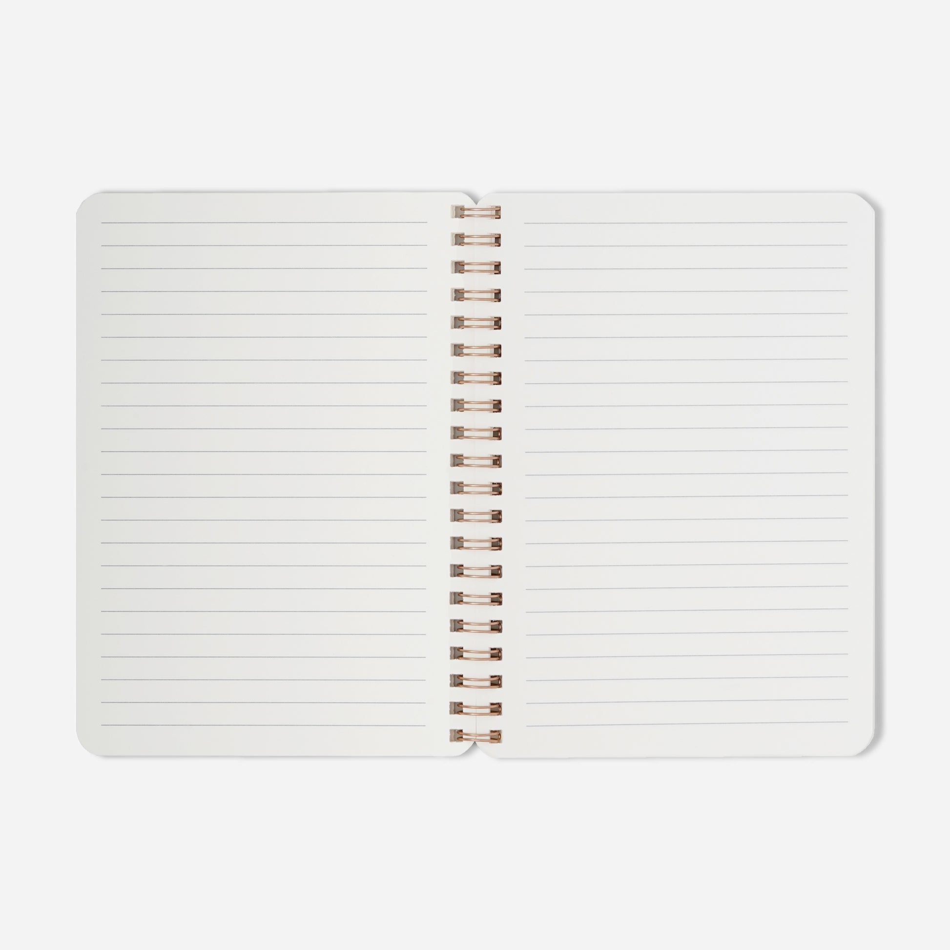 Open notebook with lined pages on a white background
