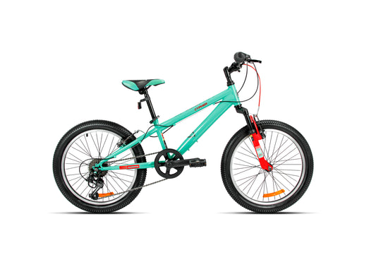 20" Cypher MTB Mint Green