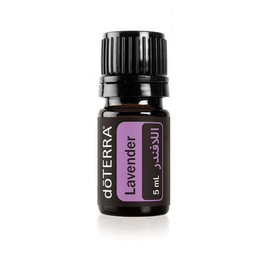 Lavender Oil - Essential Oil Supplement 5 mL
