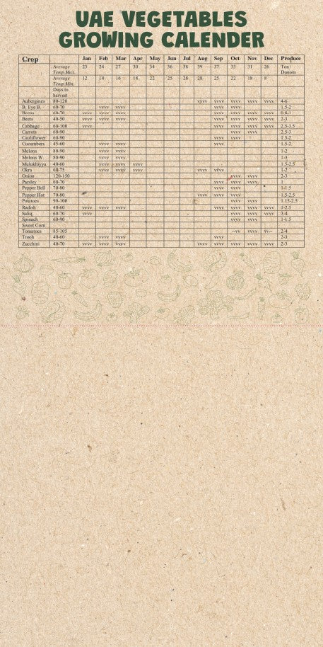 Academic Family Calendar Sept 2023 to Dec 2024  16 months